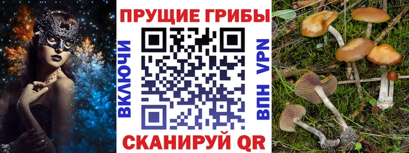Псилоцибиновые грибы мухоморы  закладки  Советская Гавань 