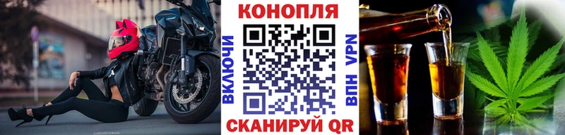 Конопля индика Советская Гавань